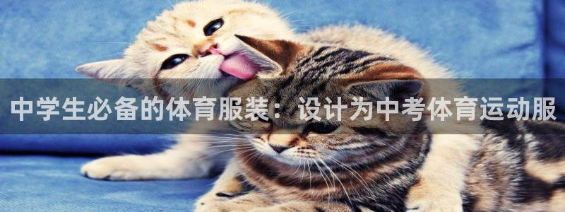 风速体育直播：中学生必备的体育服装：设计为中考体育运动服
