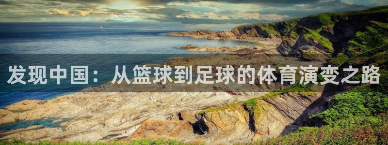 风速体育app下载官网最新版