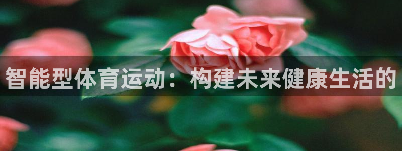 风速体育nba免费直播