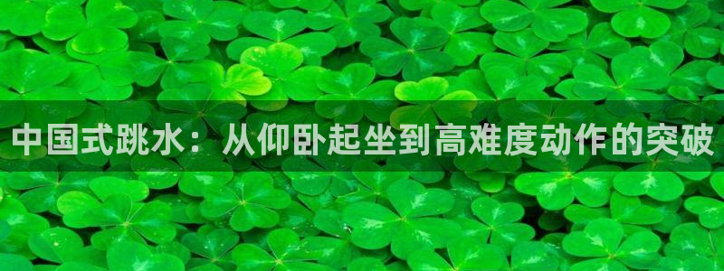 风速体育直播：中国式跳水：从仰卧起坐到高难度动作的突破