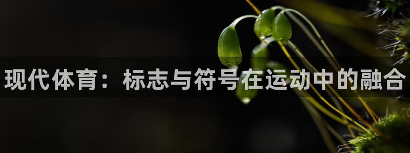 风速体育：现代体育：标志与符号在运动中的融合