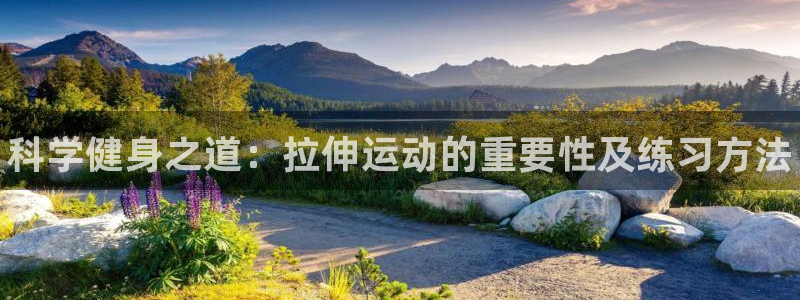 风速体育app下载官网最新版：科学健身之道：拉伸运动的重要性及练习方法