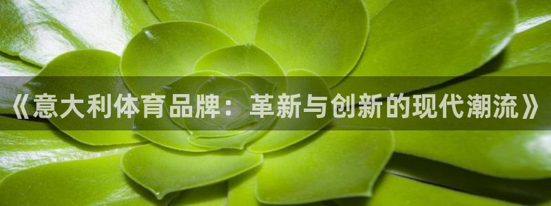 风速体育nba直播：《意大利体育品牌：革新与创新的现代潮流》