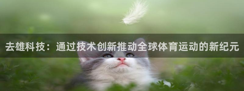 下载风速体育：去雄科技：通过技术创新推动全球体育运动的新纪元