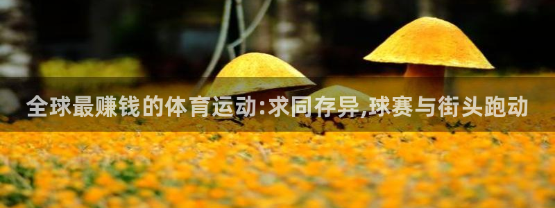风速体育app：全球最赚钱的体育运动:求同存异,球赛与街头跑动