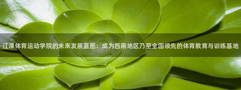 风速体育nba免费直播：江津体育运动学院的未来发展蓝图：成为西南地区乃至全国领先的体育教育与训练基地