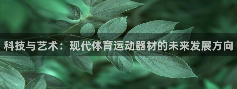 风速体育app下载官网最新版：科技与艺术：现代体育运动器材的未来发展方向