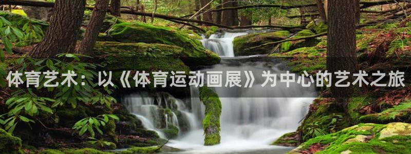 下载风速体育：体育艺术：以《体育运动画展》为中心的艺术之旅