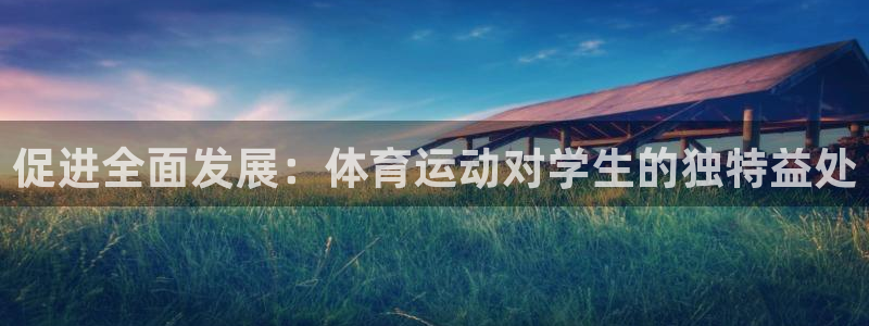 风速体育app下载安装最新版本：促进全面发展：体育运动对学生的独特益处
