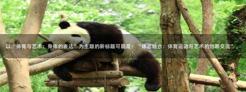 风速体育下载：以“体育与艺术：身体的表达”为主题的新标题可能是：“体艺融合：体育运动与艺术的创新交流”。