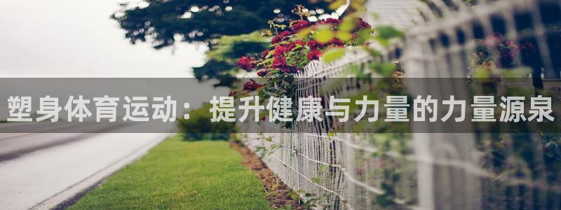 风速体育app官方下载：塑身体育运动：提升健康与力量的力量源泉
