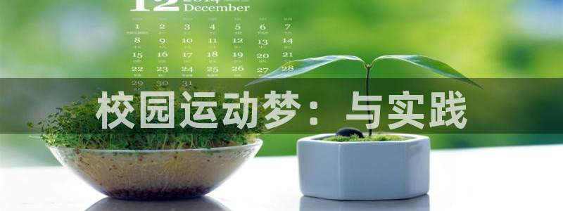 风速体育直播：校园运动梦：与实践