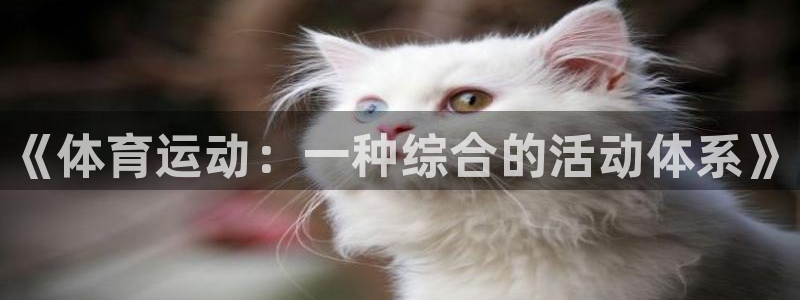 风速体育直播：《体育运动：一种综合的活动体系》
