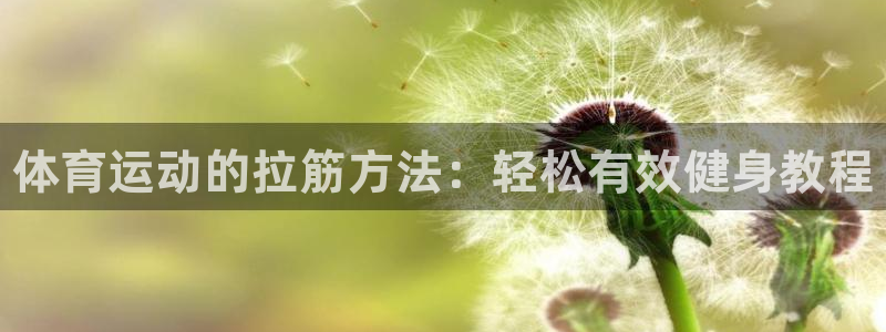 下载风速体育：体育运动的拉筋方法：轻松有效健身教程