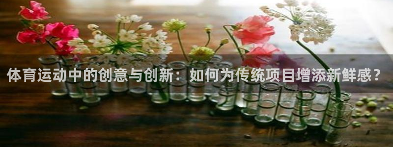 风速体育nba直播：体育运动中的创意与创新：如何为传统项目增添新鲜感？