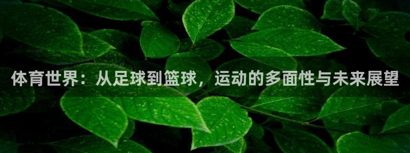 风速体育cba直播：体育世界：从足球到篮球，运动的多面性与未来展望