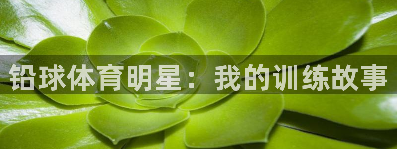风速体育nba直播：铅球体育明星：我的训练故事