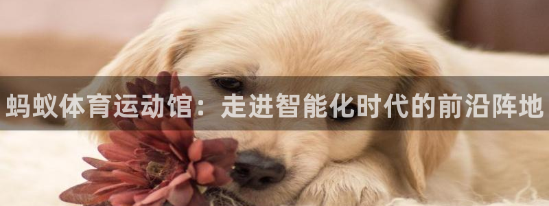 风速体育nba直播：蚂蚁体育运动馆：走进智能化时代的前沿阵地