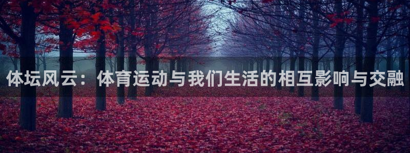 下载风速体育