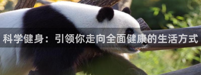 风速体育app下载安装最新版本