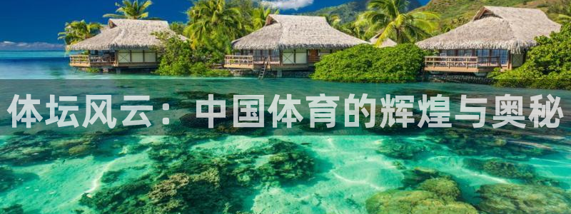 风速体育app下载安装最新版本