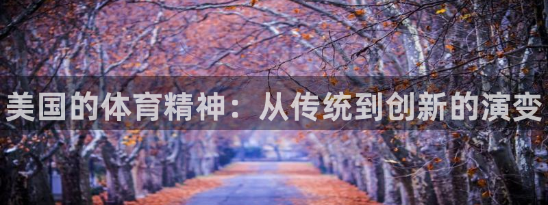 风速体育下载