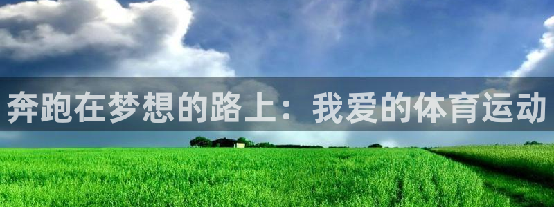 风速体育app下载官网最新版