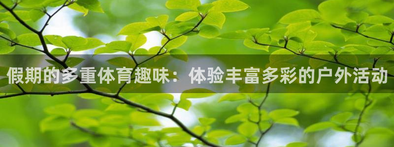 下载风速体育