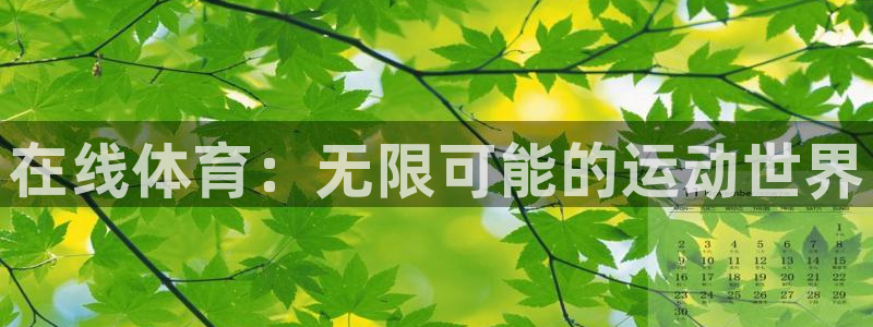 下载风速体育