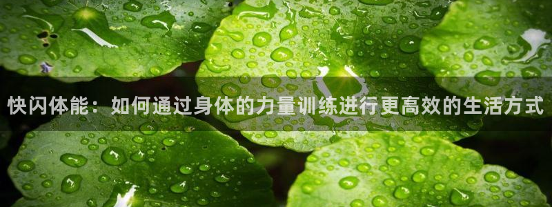 风速体育nba免费直播