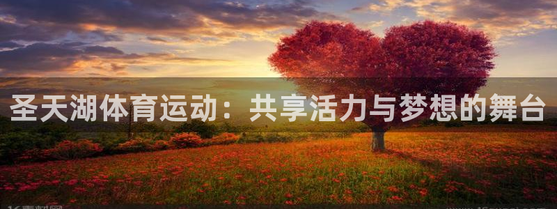 风速体育下载