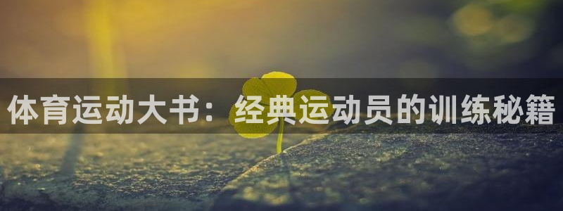 风速体育