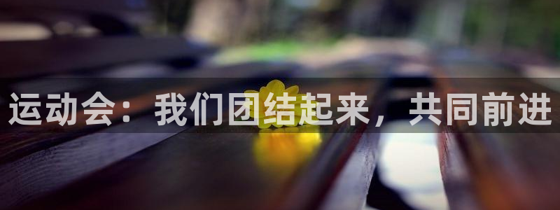 风速体育nba免费直播