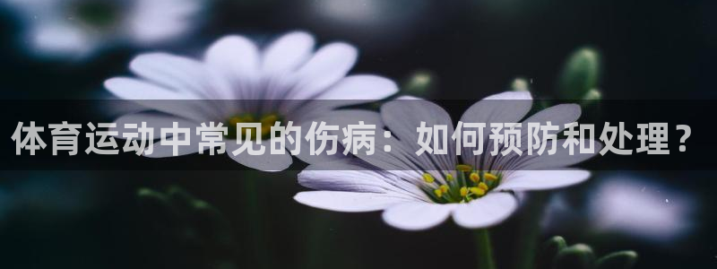 风速体育官网