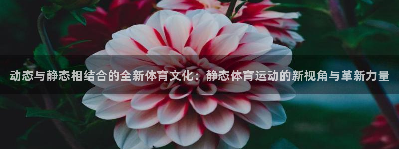 风速体育app下载安装最新版本