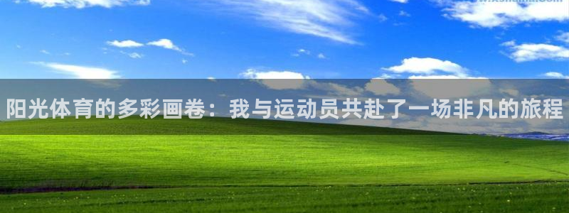 风速体育下载