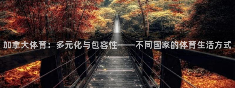 风速体育cba直播：加拿大体育：多元化与包容性——不同国家的体育生活方式