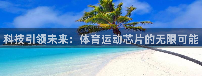 风速体育：科技引领未来：体育运动芯片的无限可能