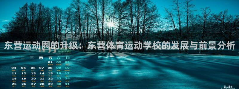 风速体育app