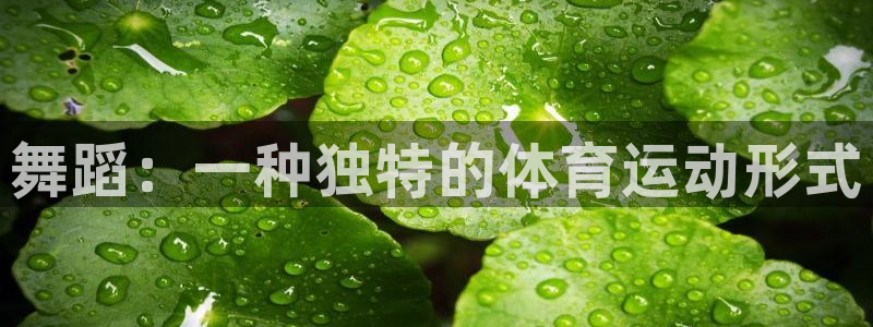 风速体育直播