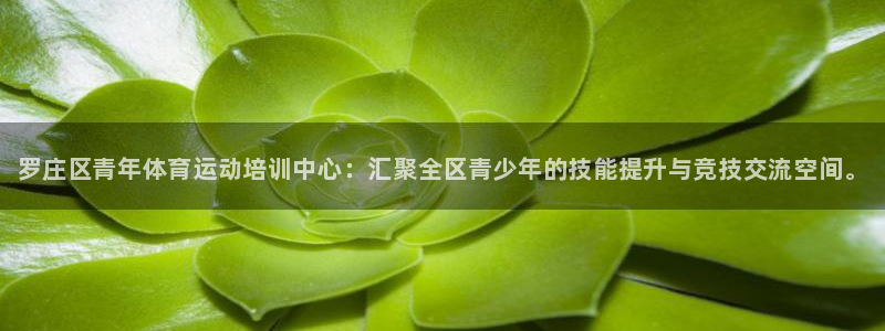 风速体育nba免费直播